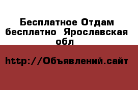 Бесплатное Отдам бесплатно. Ярославская обл.